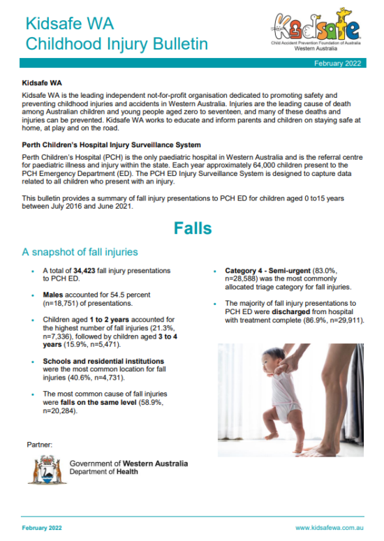Falls Fact Sheet