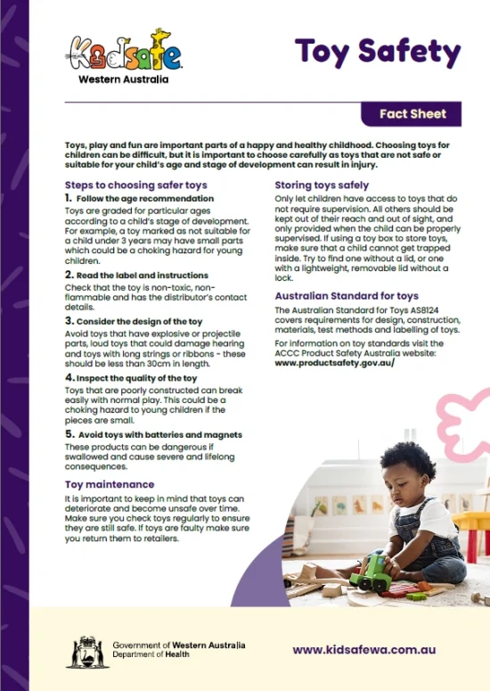 Toy Safety Fact Sheet and Checklist